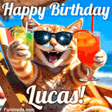A cheerful cat wearing sunglasses, enjoying drinks on a sunny beach chair, with the text 'Happy Birthday Lucas!' in bright letters.