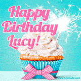 A festive cupcake with pink icing, a gingham bow, and a lit animated sparkler, paired with 'Happy Birthday Lucy!' in bright pink text.