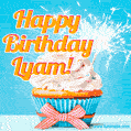 Happy Birthday, Lyam! Elegant cupcake with a sparkler.