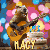 Animated birthday GIF showing a capybara playing guitar and singing beside a birthday cake with the name Macy in large letters and colorful bokeh lights in the background.