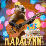 Animated birthday GIF showing a capybara playing guitar and singing beside a birthday cake with the name Madalynn in large letters and colorful bokeh lights in the background.