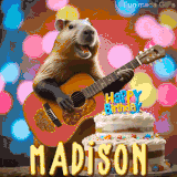 Animated birthday GIF showing a capybara playing guitar and singing beside a birthday cake with the name Madison in large letters and colorful bokeh lights in the background.