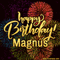 Happy Birthday, Magnus! Celebrate with joy, colorful fireworks, and unforgettable moments.