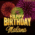 Wishing You A Happy Birthday, Malana! Best fireworks GIF animated greeting card.