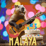 Animated birthday GIF showing a capybara playing guitar and singing beside a birthday cake with the name Malaya in large letters and colorful bokeh lights in the background.