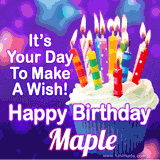 A colorful birthday GIF for Maple featuring a cupcake with vibrant lit candles and the text 'It's Your Day to Make a Wish! Happy Birthday Maple' in bold letters on a festive purple background.