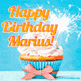 Happy Birthday, Marius! Elegant cupcake with a sparkler.
