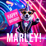 Animated GIF of a cool dog wearing a suit and sunglasses, holding a 'Happy Birthday' sign for Marley, set against a bright and colorful neon party background.