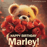 Cinematic style cute animated teddy bear with charming features holding a large bouquet of red roses, the words say 'Happy Birthday Marley' in sans serif font.
