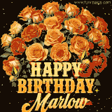 Animated bouquet of orange roses with moving butterfles and golden 'Happy Birthday Marlow' text, surrounded by sparkling accents and a dark backdrop for a luxurious feel.