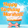 Happy Birthday, Marshall! Elegant cupcake with a sparkler.