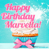 A festive cupcake with pink icing, a gingham bow, and a lit animated sparkler, paired with 'Happy Birthday Marvella!' in bright pink text.