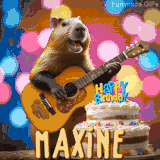 Animated birthday GIF showing a capybara playing guitar and singing beside a birthday cake with the name Maxine in large letters and colorful bokeh lights in the background.