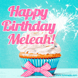 A festive cupcake with pink icing, a gingham bow, and a lit animated sparkler, paired with 'Happy Birthday Meleah!' in bright pink text.