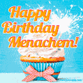 Happy Birthday, Menachem! Elegant cupcake with a sparkler.