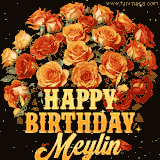 Animated bouquet of orange roses with moving butterfles and golden 'Happy Birthday Meylin' text, surrounded by sparkling accents and a dark backdrop for a luxurious feel.