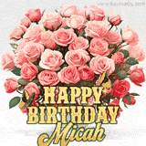 Golden 'Happy Birthday Micah' text beneath a vibrant bouquet of orange roses, complete with glittering butterflies and sparkling details.