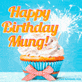 Happy Birthday, Mung! Elegant cupcake with a sparkler.