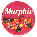 Beautifully decorated red velvet berry birthday cake with vibrant fruits and a glowing 'Murphie' name, adding a touch of sweetness and sparkle.