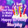 It's Your Day To Make A Wish! Happy Birthday Murphy!