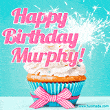 A festive cupcake with pink icing, a gingham bow, and a lit animated sparkler, paired with 'Happy Birthday Murphy!' in bright pink text.