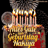 A chocolate birthday cake with glowing candles, the German text 'Alles Gute zum Geburtstag Nakiya,' and vibrant fireworks lighting up the background in an animated GIF.