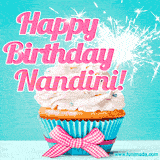 A festive cupcake with pink icing, a gingham bow, and a lit animated sparkler, paired with 'Happy Birthday Nandini!' in bright pink text.