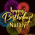 Happy Birthday, Nataly! Celebrate with joy, colorful fireworks, and unforgettable moments. Cheers!