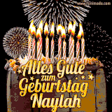 A chocolate birthday cake with glowing candles, the German text 'Alles Gute zum Geburtstag Naylah,' and vibrant fireworks lighting up the background in an animated GIF.