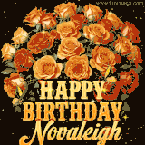Animated bouquet of orange roses with moving butterfles and golden 'Happy Birthday Novaleigh' text, surrounded by sparkling accents and a dark backdrop for a luxurious feel.