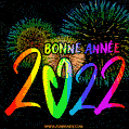 Bonne Année 2022! Feu d'artifice arc-en-ciel Image animée.