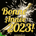 Bonne Année 2023! Champagne GIF.