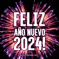 Mejor Feliz Año Nuevo 2024 GIF