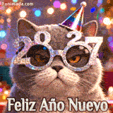 Un gato gris esponjoso con expresión gruñona lleva unas enormes gafas de purpurina en forma de 2027 y un gorro de fiesta colorido. De fondo, luces festivas brillan sobre el texto 'Feliz Año Nuevo'.