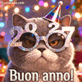 Un gatto grigio lanuginoso con espressione scontrosa indossa enormi occhiali glitterati a forma di 2027 e un cappello da festa colorato. Sullo sfondo, luci festive brillano sopra il testo 'Buon Anno!'.