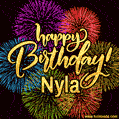 Happy Birthday, Nyla! Celebrate with joy, colorful fireworks, and unforgettable moments. Cheers!
