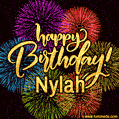 Happy Birthday, Nylah! Celebrate with joy, colorful fireworks, and unforgettable moments. Cheers!
