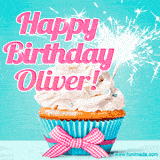 A festive cupcake with pink icing, a gingham bow, and a lit animated sparkler, paired with 'Happy Birthday Oliver!' in bright pink text.