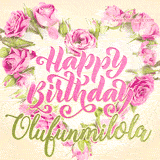 A stunning heart made of pink roses surrounds the elegant script text 'Happy Birthday Olufunmilola' on a soft beige background. Animated sparkles add a magical and festive feel.