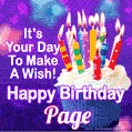 It's Your Day To Make A Wish! Happy Birthday Page!