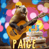 Animated birthday GIF showing a capybara playing guitar and singing beside a birthday cake with the name Paige in large letters and colorful bokeh lights in the background.