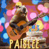 Animated birthday GIF showing a capybara playing guitar and singing beside a birthday cake with the name Paislee in large letters and colorful bokeh lights in the background.