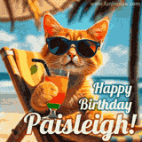 An animated orange cat wearing sunglasses, sitting on a beach chair with a tropical drink, with a festive 'Happy Birthday Paisleigh!' message.