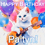 Animated GIF featuring a charming white cat with bright blue eyes strumming a guitar while colorful balloons float in the background, with 'Happy Birthday Paityn!' text.