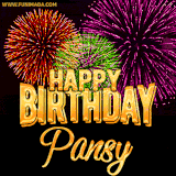 A golden 'Happy Birthday Pansy' message with vibrant fireworks in the background, creating a festive and celebratory vibe in this animated name GIF.