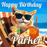 A cheerful cat wearing sunglasses, enjoying drinks on a sunny beach chair, with the text 'Happy Birthday Parker!' in bright letters.