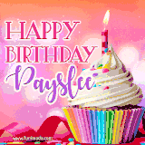 A vibrant birthday GIF featuring a rainbow-colored cupcake topped with white frosting, sprinkles, and a lit candle. The text reads 'Happy Birthday Payslee' in bold pink and violet letters with white outline.