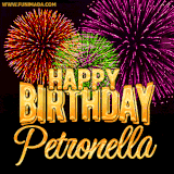 A golden 'Happy Birthday Petronella' message with vibrant fireworks in the background, creating a festive and celebratory vibe in this animated name GIF.