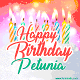 Bright birthday candles with rainbow flames on a cake, alongside the text 'Happy Birthday Petunia' in vibrant script in this celebratory animated GIF.
