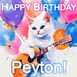 Animated GIF featuring a charming white cat with bright blue eyes strumming a guitar while colorful balloons float in the background, with 'Happy Birthday Peyton!' text.